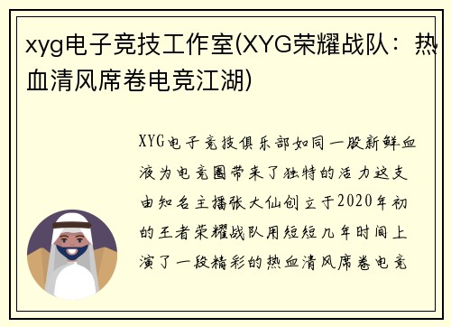 xyg电子竞技工作室(XYG荣耀战队：热血清风席卷电竞江湖)